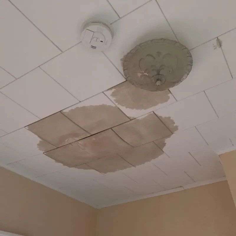 Ceiling Water Damage Repair in New Waterford, OH