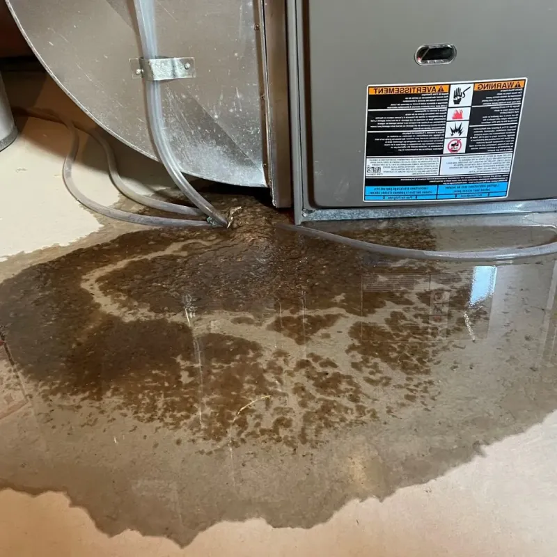 Pipe Burst and Leak Restoration in New Waterford, OH