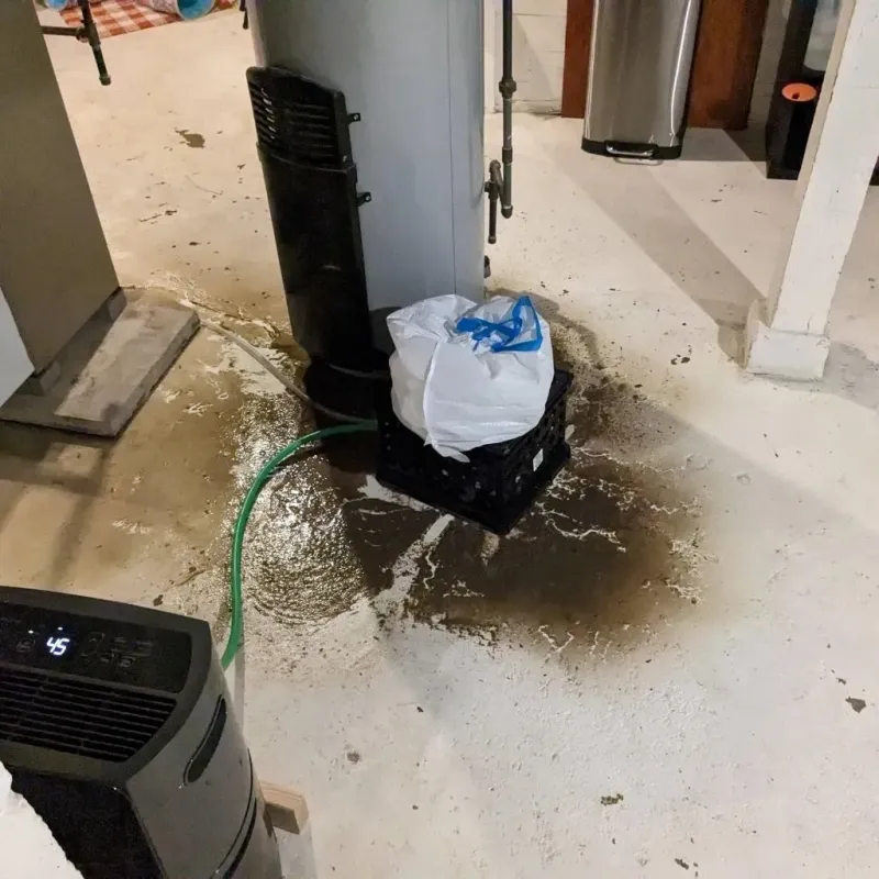Sewage Backup Cleanup Service in New Waterford, OH